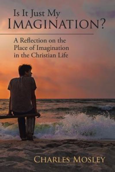 Cover for Charles Mosley · Is It Just My Imagination? (Paperback Book) (2017)