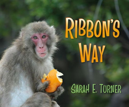 Cover for Sarah Turner · Ribbon's Way (Paperback Book) (2013)