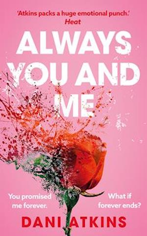 Cover for Dani Atkins · Always You and Me (Paperback Book) (2025)