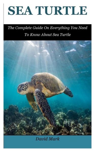 Cover for David Mark · Sea Turtle (Paperback Book) (2019)