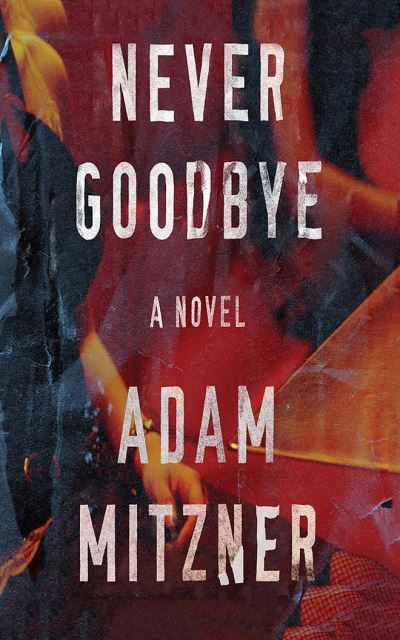 Cover for Adam Mitzner · Never Goodbye (CD) (2021)