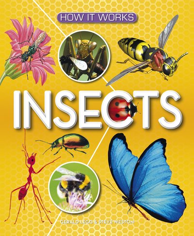 How It Works: Insects - How It Works - Gerald Legg - Bücher - Award Publications Ltd - 9781782700005 - 12. Mai 2022