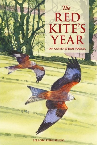 Cover for Ian Carter · The Red Kite's Year - Pelagic Monographs (Pocketbok) (2019)