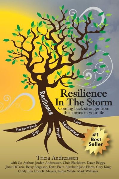 Cover for Tricia Andreassen · Resilience In The Storm (Paperback Book) (2016)