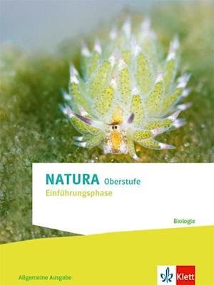 Cover for Klett Ernst /Schulbuch · Natura Biologie Einführungsphase. Schulbuch Klassen 10 (G8), Klassen 11 (G9) (Hardcover Book) (2022)