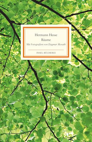 Cover for Hermann Hesse · Bäume (Hardcover bog) (2022)