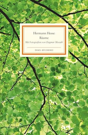 Cover for Hermann Hesse · Bäume (Hardcover Book) (2022)