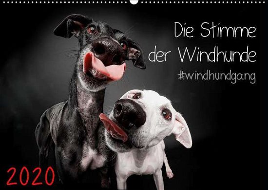 Cover for Gier · Die Stimme der Windhunde (Wandkale (Bog)