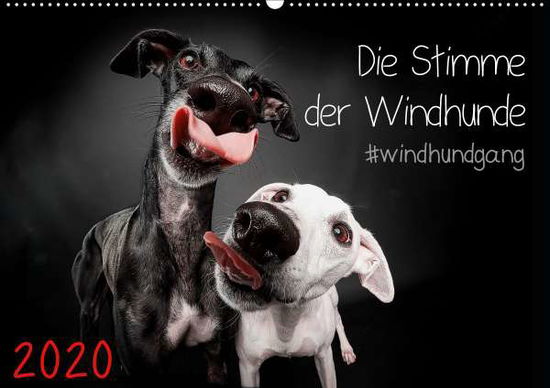 Cover for Gier · Die Stimme der Windhunde (Wandkale (Buch)