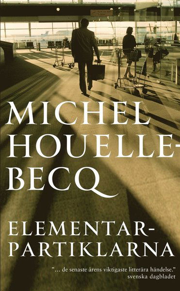 PANACHE: Elementarpartiklarna - Michel Houellebecq - Books - Albert Bonniers Förlag - 9789100173005 - July 13, 2017