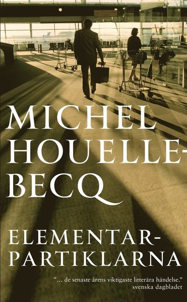 Cover for Michel Houellebecq · PANACHE: Elementarpartiklarna (ePUB) (2017)
