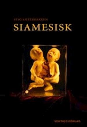 Cover for Stig Sæterbakken · Siamesisk (Bok) (2002)