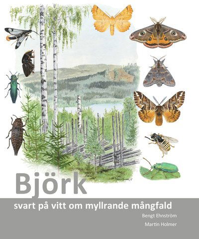 Cover for Bengt Ehnström · Björk : svart på vitt om myllrande mångfald (Book) (2015)