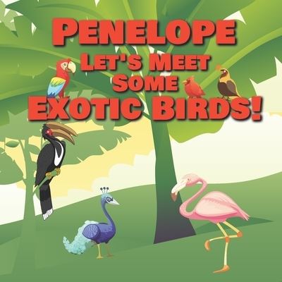 Cover for Chilkibo Publishing · Penelope Let's Meet Some Exotic Birds! (Paperback Bog) (2020)