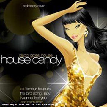 House Candy-Disco Go House - V/A - Music - ZYX - 0090204917006 - July 3, 2008