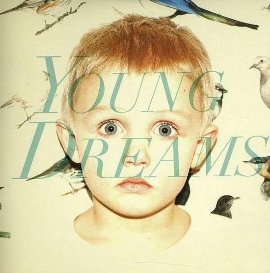 Cover for Young Dreams · Flight 376 (LP) (2012)