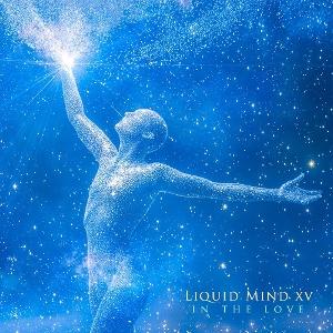 Cover for Liquid Mind · Liquid Mind Xv: in the Love (CD) (2025)