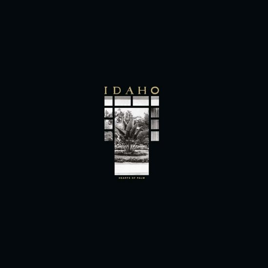 Cover for Idaho · Hearts Of Palm (LP) (2018)