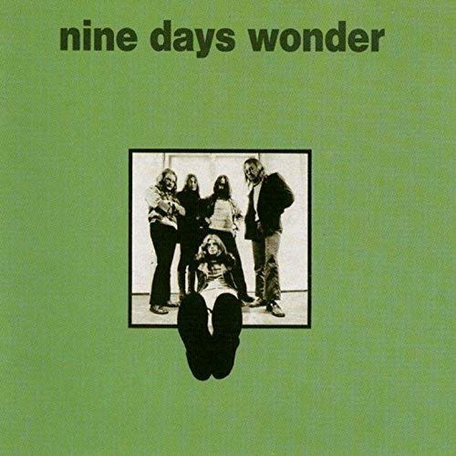 Cover for Nine Days Wonder · Nine Days Wonder (green Foam Cover) (LP) [Special edition] (2010)