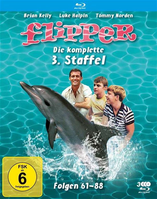 Cover for Kelly,brian / Norden,tommy · Flipper-die Komplette 3.staffel (3 Blu-rays) (F (Blu-ray) (2021)