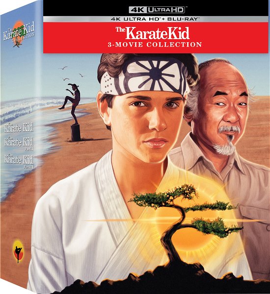 Cover for Karate Kid · Karate Kid 1-3 Box (4k+Bd) (4K UHD + Blu-ray) (2021)