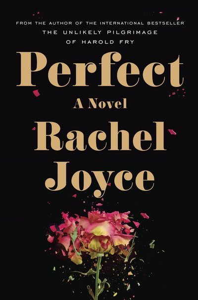 Cover for Rachel Joyce · Perfect (Taschenbuch) (2014)
