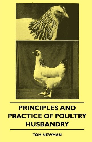 Cover for Tom Newman · Principles and Practice of Poultry Husbandry (Paperback Book) (2010)