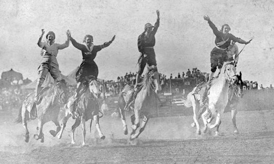 Twisting in Air: The Sensational Rise of a Hollywood Falling Horse - Carol Bradley - Książki - University of Nebraska Press - 9781496239006 - 1 października 2024