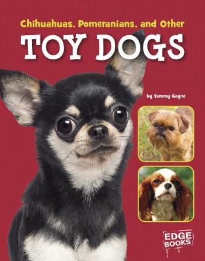 Cover for Tammy Gagne · Chihuahuas, Pomeranians, and other toy dogs (Book) (2016)