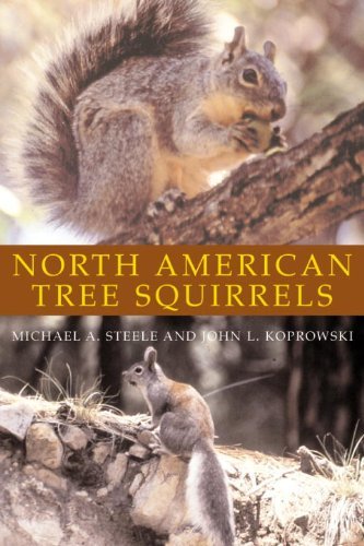 Cover for Michael A. Steele · North American Tree Squirrels (Pocketbok) (2003)