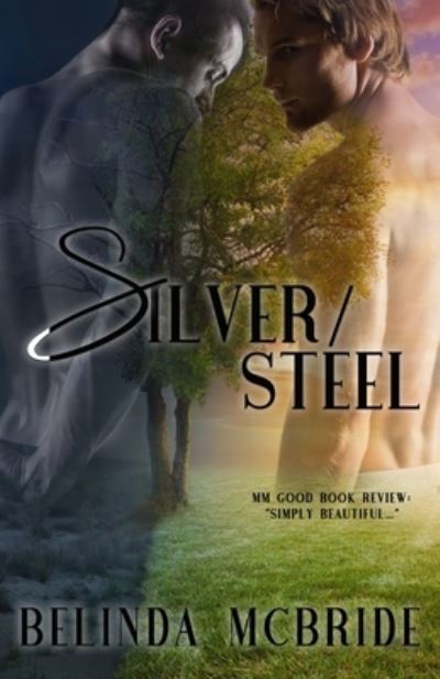 Cover for Belinda McBride · Silver / Steel (Pocketbok) (2019)