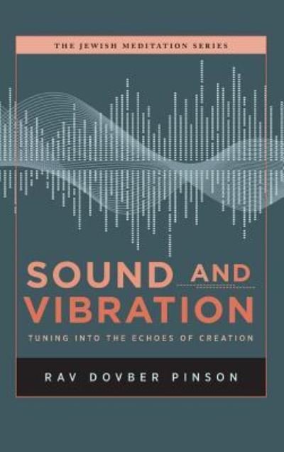 Cover for DovBer Pinson · Sound and Vibration (Hardcover bog) (2019)