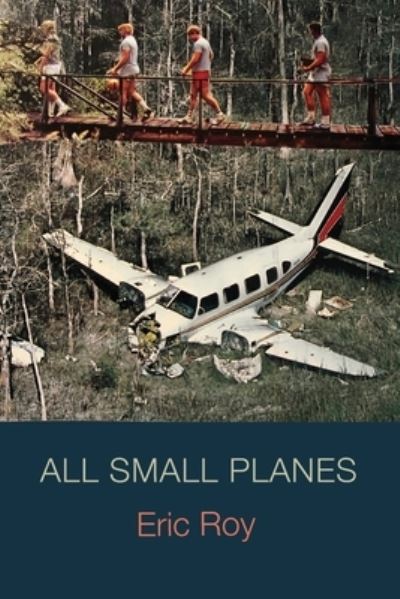 Cover for Eric Roy · All Small Planes (Paperback Book) (2021)