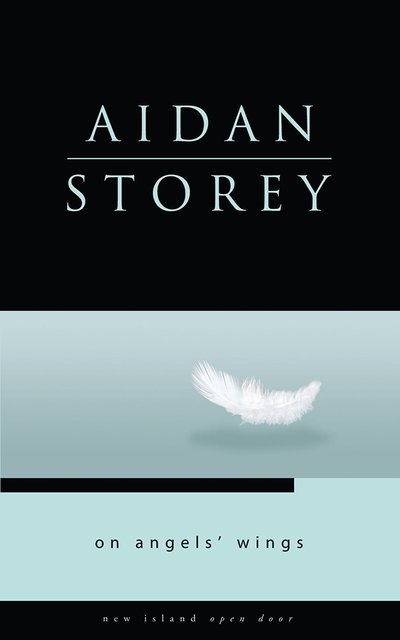 On Angel's Wings - Open Door Series - Aidan Storey - Books - New Island Books - 9781848401006 - September 15, 2011