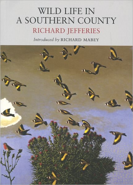 Cover for Richard Jefferies · Wild Life in a Southern County - Nature Classics Library (Paperback Book) [Revised edition] (2011)