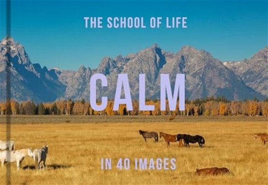 Cover for The School of Life · Calm in 40 Images: The art of finding serenity (Innbunden bok) (2024)