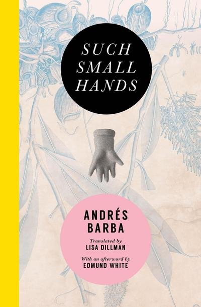 Cover for Andrés Barba · Such small hands (Book) (2017)