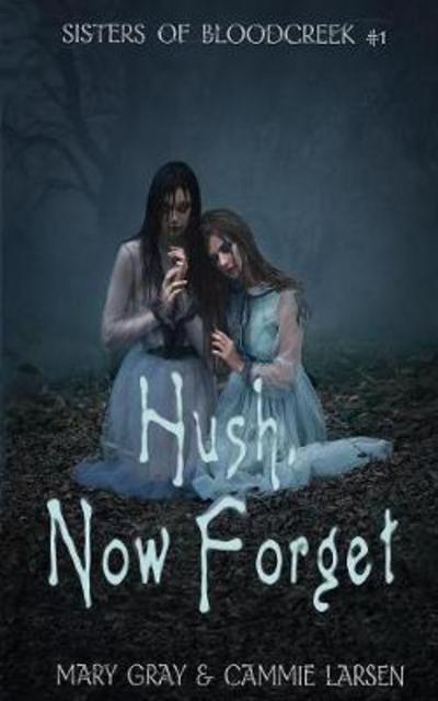 Cover for Gray, Mary (American University Washington District of Columbia USA) · Hush, Now Forget - Sisters of Bloodcreek (Paperback Book) (2017)