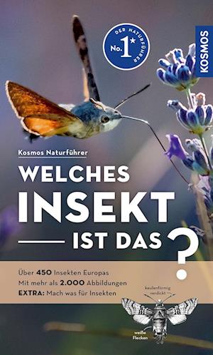 Welches Insekt ist das? - Heiko Bellmann - Books - Kosmos - 9783440180006 - June 24, 2024