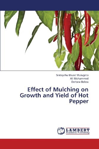 Cover for Derbew Belew · Effect of Mulching on Growth and Yield of Hot Pepper (Taschenbuch) (2013)