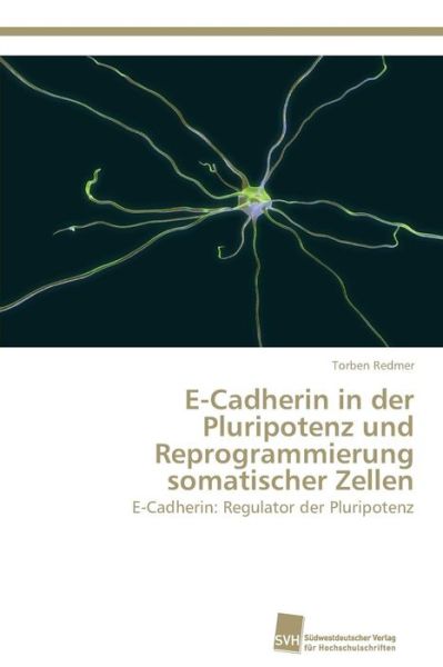 Cover for Redmer Torben · E-cadherin in Der Pluripotenz Und Reprogrammierung Somatischer Zellen (Paperback Book) (2012)