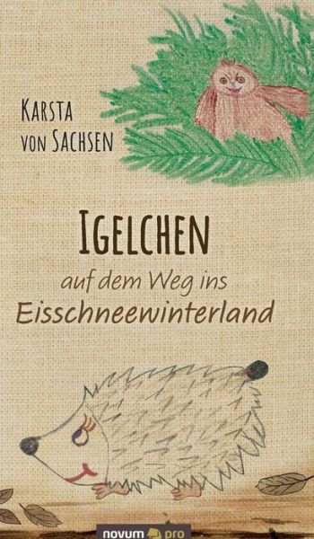 Cover for Karsta Von Sachsen · Igelchen auf dem Weg ins Eisschneewinterland (Hardcover Book) (2020)