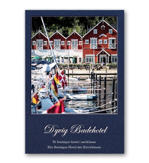 Dyvig Badehotel  Et boutique hotel i særklasse - Rikke Jønson Buthler - Books - Dyvig Forlag - 9788797122006 - April 30, 2019