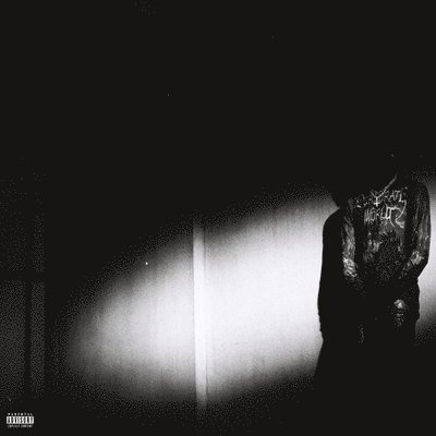 Destroy Lonely · No Stylist (LP) (2023)