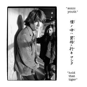 Cover for Sonic Youth · Hold That Tiger (LP) (2025)