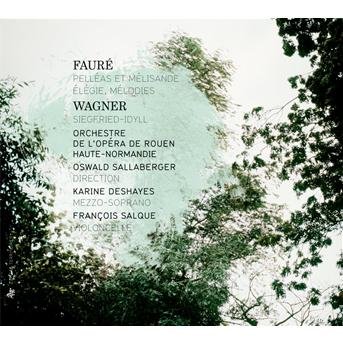 Cover for Faure / Sallaberger · Pelleas et Melisande (CD) [Digipak] (2012)