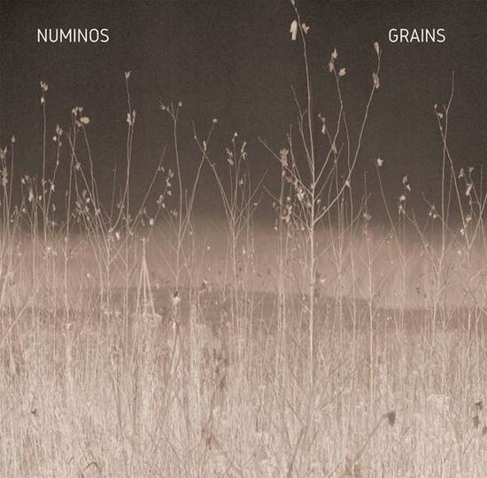 Grains - Numinos - Music - MILLE PLATEAUX - 4251804126007 - November 12, 2021