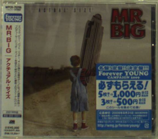 Actual Size + 1 - Mr. Big - Music - WARNER BROTHERS - 4943674064007 - June 21, 2006