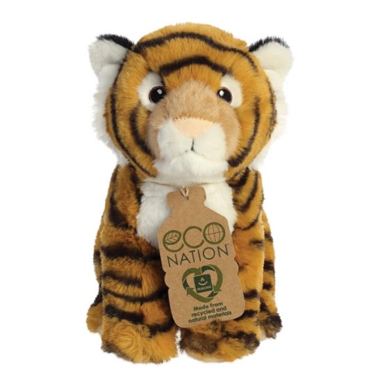 Cover for Eco Nation Bengal Tiger (Pocketbok) (2023)