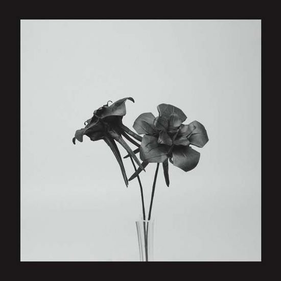 Cover for Jlin · Dark Lotus (LP) (2017)